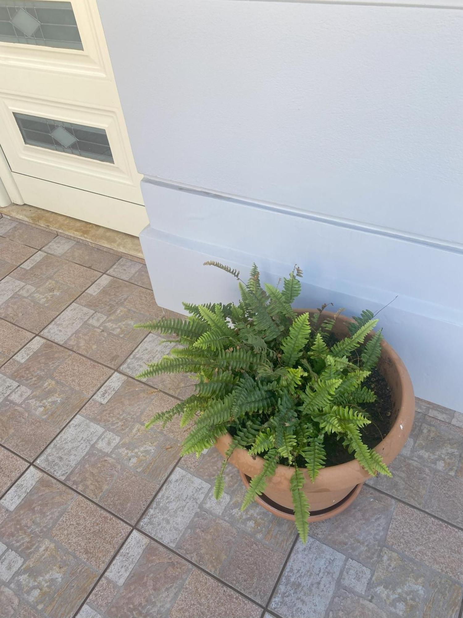 New Unique Apartment In Heraklion Exteriér fotografie